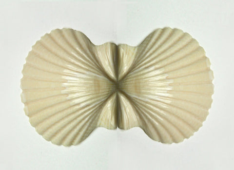 Double Scallop Shell Topper