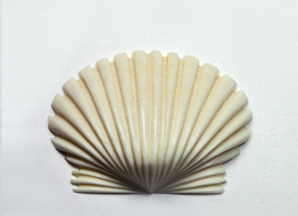 Scallop Shell Purse Topper